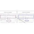 借入金の年末残高証明書の例（2本分）：紫枠と青枠を転記15